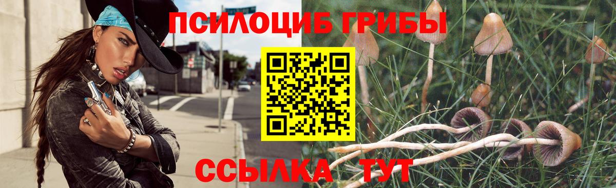 Мариинск  Галлюциногенные грибы GOLDEN TEACHER  Вход с VPN 